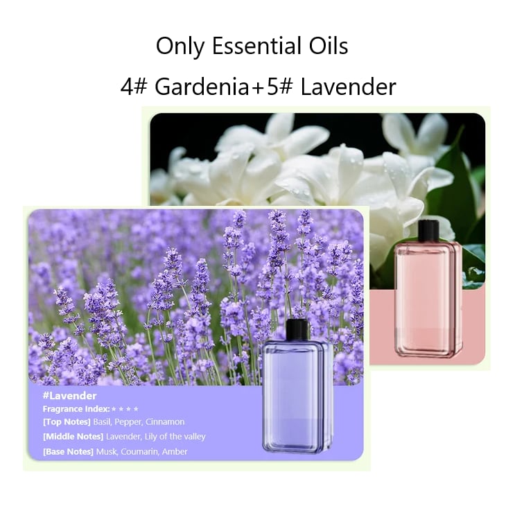 🎅Soldes de Noël - 50% DE RÉDUCTION🎄Diffuseur d'aromathérapie automatique