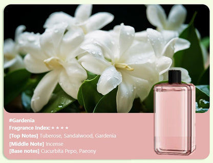 🎅Soldes de Noël - 50% DE RÉDUCTION🎄Diffuseur d'aromathérapie automatique