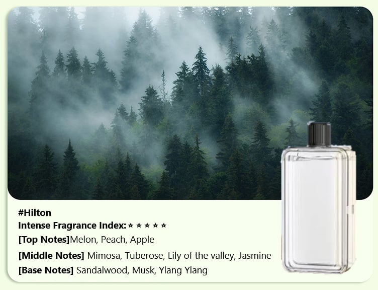 🎅Soldes de Noël - 50% DE RÉDUCTION🎄Diffuseur d'aromathérapie automatique
